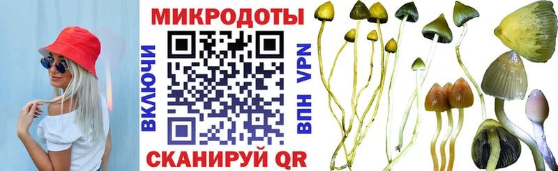 где купить наркоту Артёмовский ссылка на мегу как зайти дарк нет официальный сайт Псилоцибиновые грибы Magic Shrooms